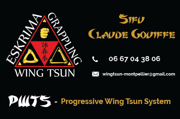 Carte de visite Wing Tsun PWTS
